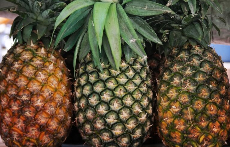 Cara Mudah Pilih Nanas yang Matang dengan Lihat Mahkotanya