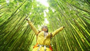 Tips Traveling Eco-Friendly untuk Jaga Kelestarian Alam