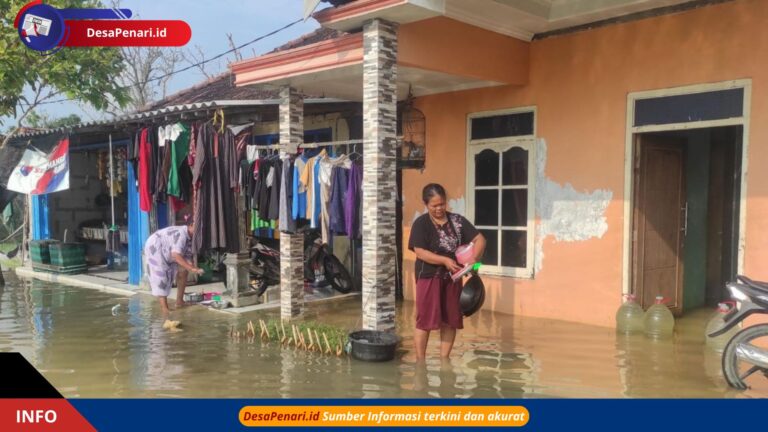 Atasi Banjir di Demak, BBWS Akui Belum Ada Anggaran Normalisasi Sungai