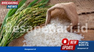 Harga Beras Dunia Mrosot Tajam, Ini Penyebabnya
