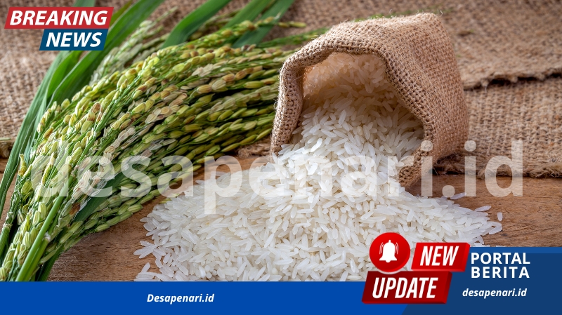 Harga Beras Dunia Mrosot Tajam, Ini Penyebabnya