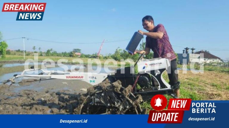 Pertamina Dorong Energi Bersih, 408 Petani Desa Uma Palak Makin Sejahtera