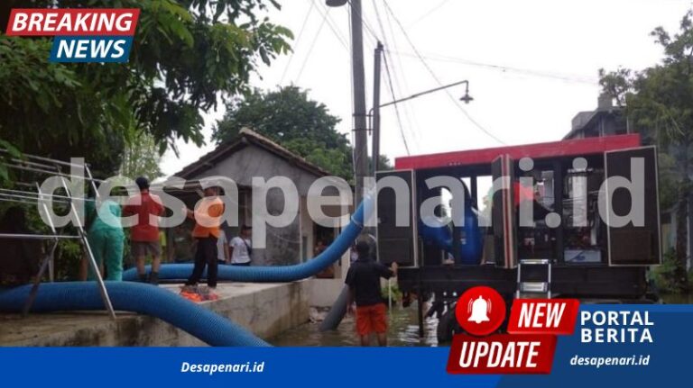 Banjir Demak Meluas ke 13 Desa,Simak Infonya