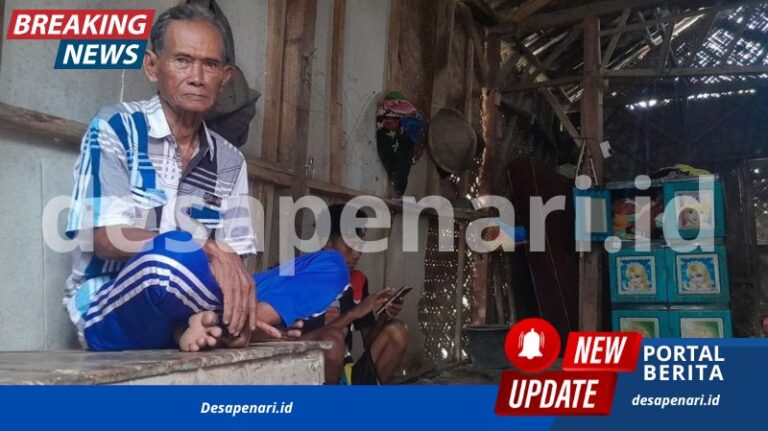 Viral Alat Kelamin Perempuan Berubah Jadi Laki-laki, Ini Faktanya
