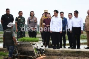 Wapres Gibran Berikan Solusi Konkret . Wakil Presiden