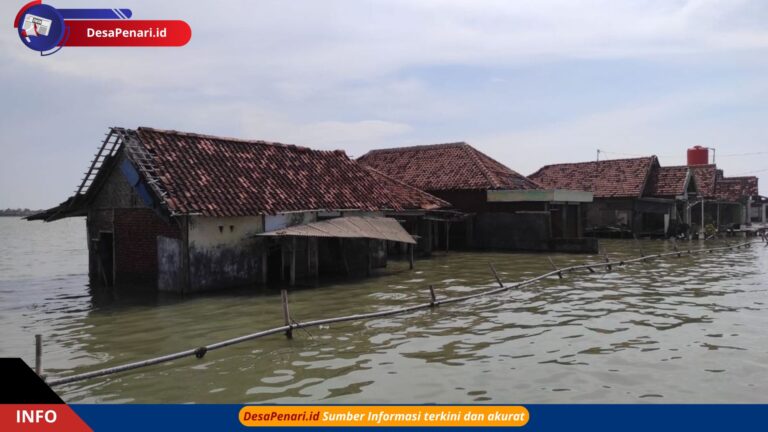 Banjir Rob Semarang-Demak Perpendek Umur Jalan Pantura, Ini Penjelasannya
