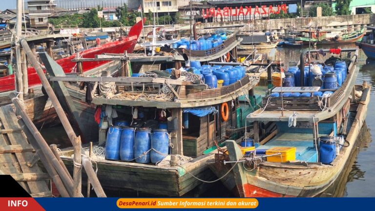 Nelayan Bangka Barat Keluhkan Penurunan Hasil Tangkapan Ikan, ini detailnya!