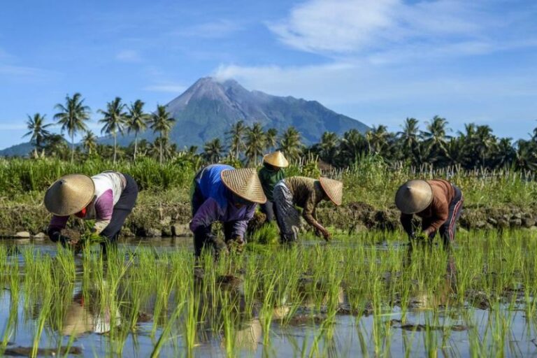 Kelaparan Global Turun di 2024, Tapi Masih Ada Ketimpangan