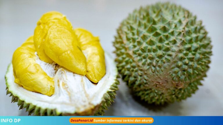 Musang King Dinobatkan sebagai “Raja Segala Raja”