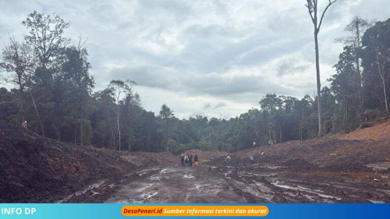 Pemodal Tambang Ilegal di Kebun Raya Unmul Ditangkap!