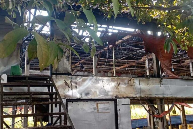 Insiden Kebakaran Kandang Ayam Ponoroga Akibatkan 7.000 Ekor Ayam Mati