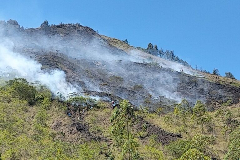 Karhutla Landa 9,8 Hektare Lereng Gunung Batur Bali