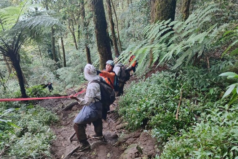 Tim SAR Evakuasi 5 Pendaki yang Alami Kelelahan di Gunung Batukaru