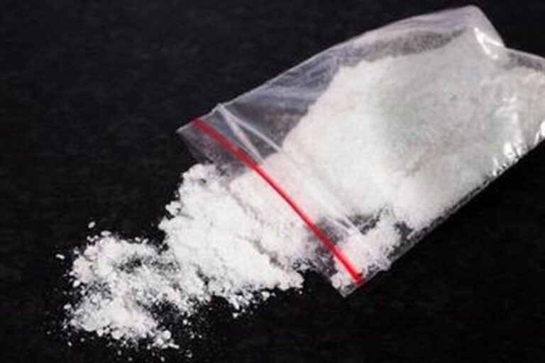 Pegawai BNN Buleleng Diamankan Polisi, Tes Urine Konfirmasi Konsumsi Sabu