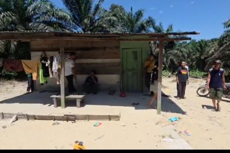 Bocah 8 Tahun Tewas Diinjak Gajah Sumatera, Ini Kronologi dan Peringatan dari Pihak Berwajib!