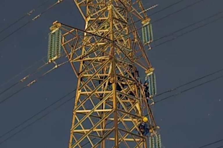 Kabel SUTT Diduga Jadi Biang Kerok Kebakaran Hebat di Jatipulo