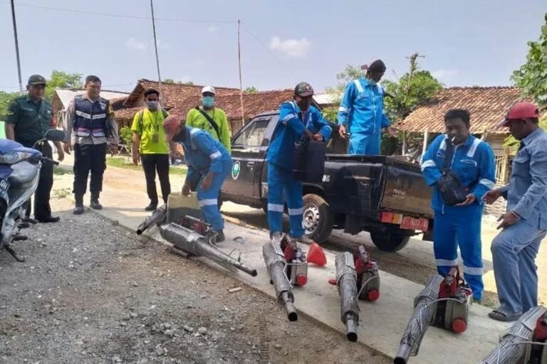 Darurat Chikungunya di Pati, Warga Minta Pemerintah Segera Turun Tangan