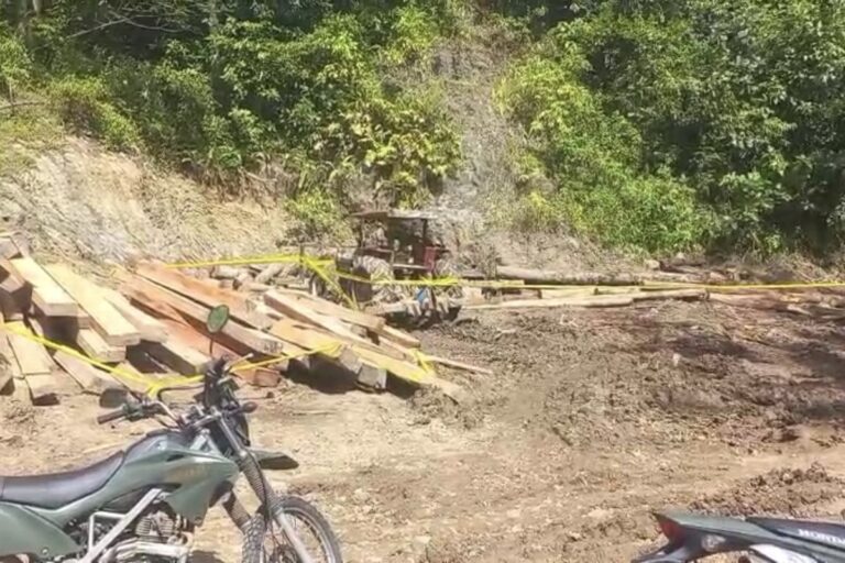 Polda Lampung Amankan Lokasi dan Alat Berat Diduga Pembalakan Liar