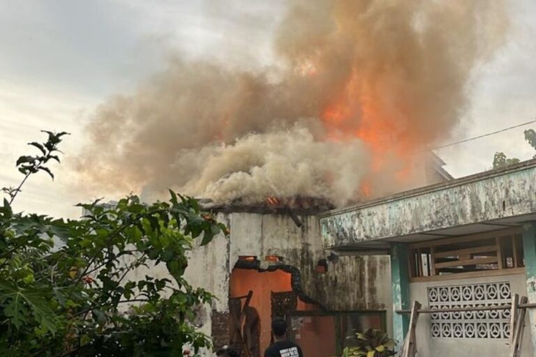 Usir Tawon Vespa dengan Api, Rumah Kosong di Bantul Malah Ludes Terbakar