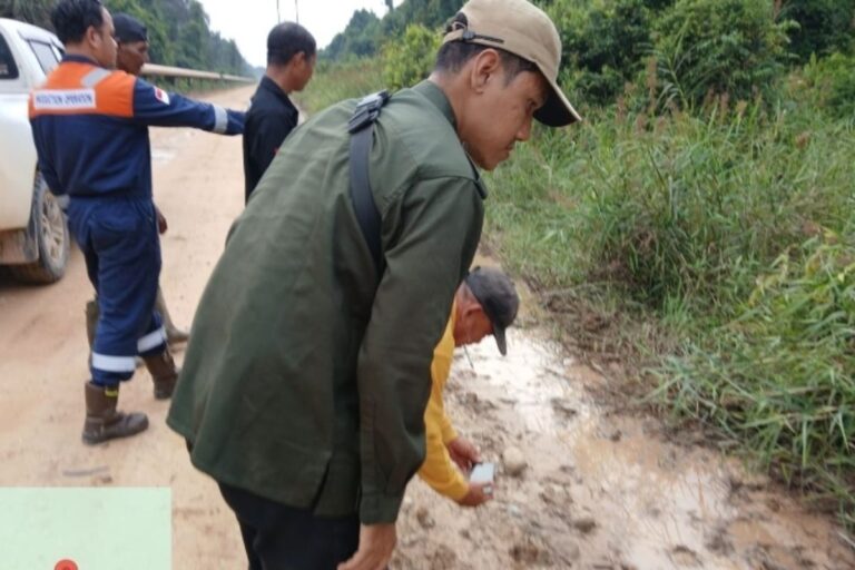 Harimau Sumatera Tertangkap Kamera di Areal Perusahaan Migas