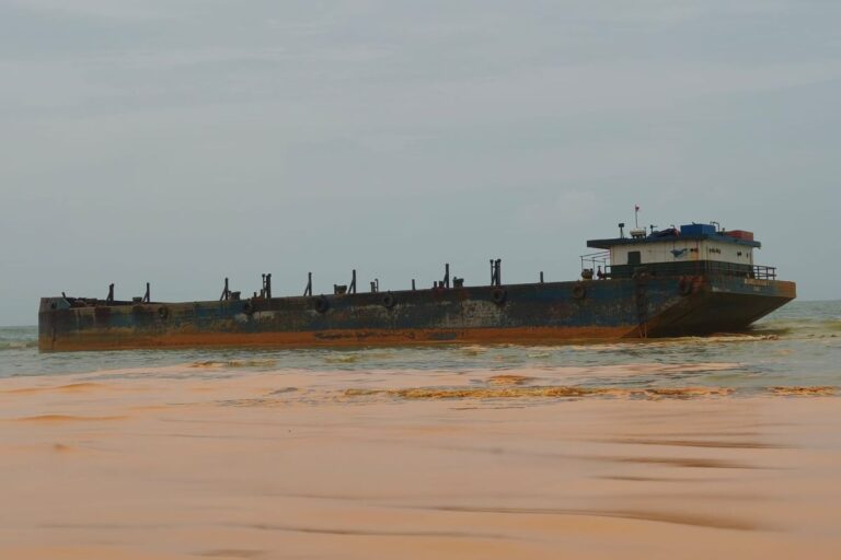 Tumpahan CPO di Sumenep Berdampak Fatal, Kematian Ikan dan Biota Laut Mulai Terlihat