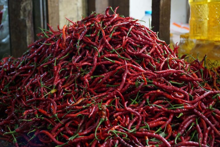 Cuaca Ekstrem Berimbas, Harga Cabai Keriting di Jakarta Mulai Melonjak