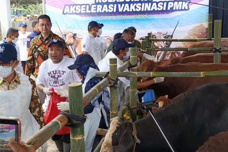 Hadapi Ancaman PMK, Pemerintah Kerahkan 4 Juta Dosis Vaksin pada 2026