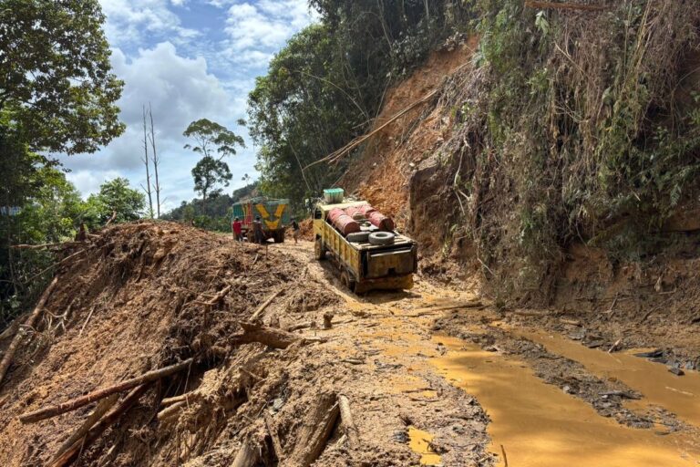 Update Longsor Trans Papua, 103 Kendaraan Terjebak Longsor, 93 Berhasil Dievakuasi