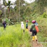 Konflik Satwa Liar Kembali Terjadi, 4 Orang Jadi Korban Serangan Beruang Madu