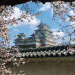 Perubahan Besar Kebijakan Imigrasi Jepang: Biaya Izin Tinggal Naik 30 Kali Lipat