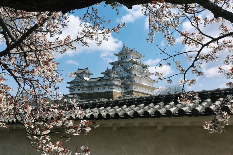 Perubahan Besar Kebijakan Imigrasi Jepang: Biaya Izin Tinggal Naik 30 Kali Lipat