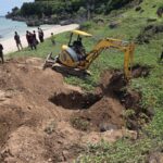 Puluhan Paus Terdampar di Rote Berakhir Pilu, 21 Ekor Dikubur di Sekitar Pantai
