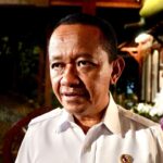 Setelah Tekan Produksi, Pemerintah Kini Buka Peluang Longgarkan Kuota Batu Bara dan Nikel