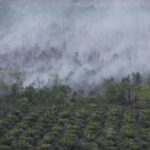 Kapolda Kalsel Peringatkan Sanksi Hukum, Warga Diminta Tak Bakar Lahan Saat Kemarau