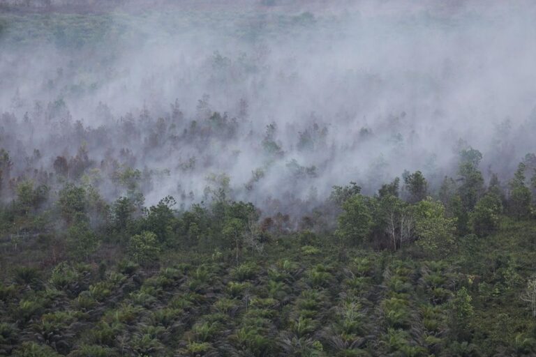 Kapolda Kalsel Peringatkan Sanksi Hukum, Warga Diminta Tak Bakar Lahan Saat Kemarau