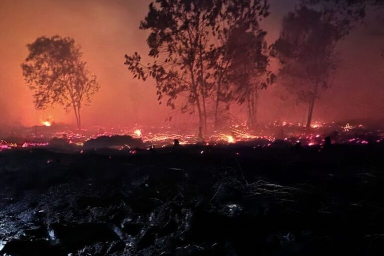 Pembakaran Lahan Diduga Pemicu Karhutla di Nunukan, Luas Area Terbakar Capai 2 Hektare
