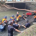 Apresiasi bagi Petugas Razia Ikan Sapu-sapu di Jakarta Barat: Uang Tunai dan Liburan ke Ancol