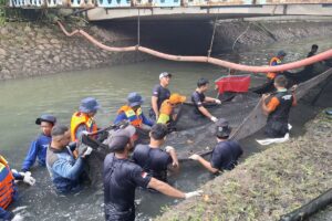 Apresiasi bagi Petugas Razia Ikan Sapu-sapu di Jakarta Barat: Uang Tunai dan Liburan ke Ancol