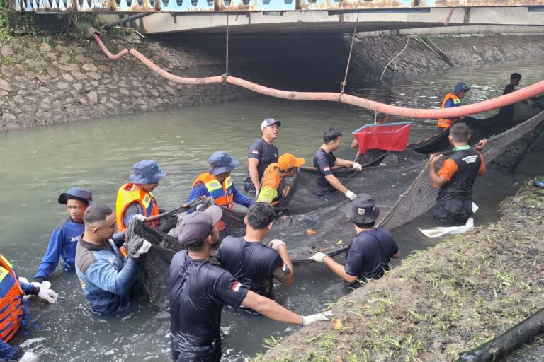 Apresiasi bagi Petugas Razia Ikan Sapu-sapu di Jakarta Barat: Uang Tunai dan Liburan ke Ancol
