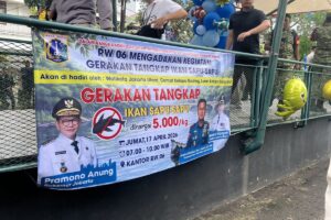 Program Insentif Penangkapan Ikan Sapu-sapu di Jakarta Utara: Rp5.000 per Kilogram