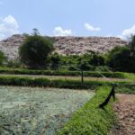 TPA Pakusari Diduga Cemari Sawah, Dinas Pertanian Jember Kirim Sampel ke Lab