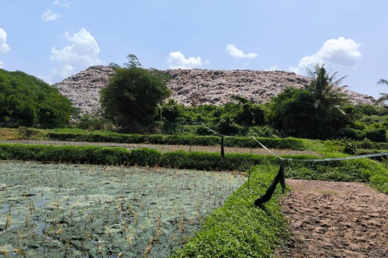 TPA Pakusari Diduga Cemari Sawah, Dinas Pertanian Jember Kirim Sampel ke Lab