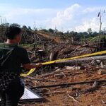 Perambahan Hutan di TNKS Bengkulu Terungkap, 80 Hektare Ludes