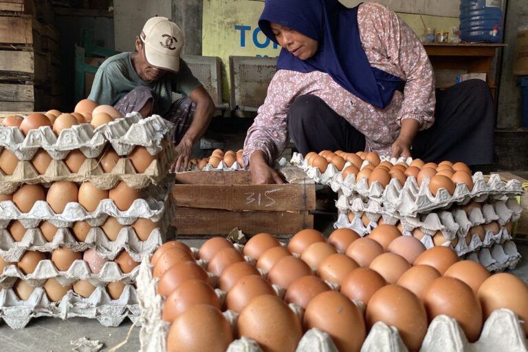 Menyikapi Harga Telur di Bawah HAP, BGN Minta SPPG Perbanyak Porsi Telur dalam MBG