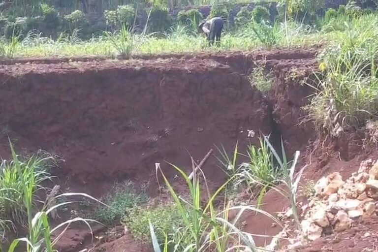 Dari 2 Meter Menjadi 10 Meter, Sinkhole di Gunungkidul Terus Membesar