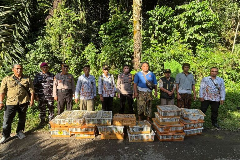 22 Boks Berisi Burung Kicau Ilegal Diamankan di Pelabuhan Padangbai Bali