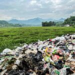 Eceng Gondok Menjamur di 94 Hektare Waduk Saguling, Pengelola: Akibat Sampah Menumpuk