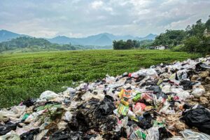Eceng Gondok Menjamur di 94 Hektare Waduk Saguling, Pengelola: Akibat Sampah Menumpuk
