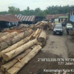 Gakkum Kehutanan Sita 1.677 Kayu Rimba di Asahan, Diduga Berasal dari Pembalakan Liar