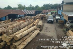 Gakkum Kehutanan Sita 1.677 Kayu Rimba di Asahan, Diduga Berasal dari Pembalakan Liar